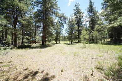 136 Elk Meadow Run, Antonito, CO 81120 - photo 5