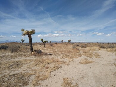 0 Vic Ave D12 & 107th St E unit 21002410, Lancaster, CA 93535 - photo 5