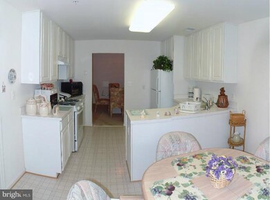 9400 Wordsworth Way unit 204, Owings Mills, MD 21117 - photo 4