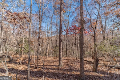 0 Arborwood Dr unit 10645890, Dahlonega, GA 30533 - photo 5