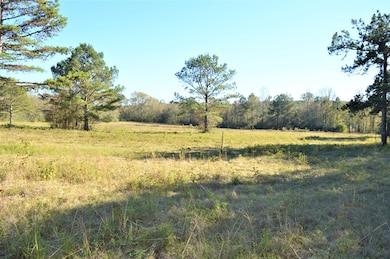 ... Hwy 98 and Pike 93 Central, McComb, MS 39648 - photo 4