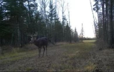 9166 Saralampi Rd, Meadowlands, MN 55765 - photo 2