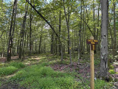 Lots 41 and 42 Daylily Ct, Terra Alta, WV 26764 - photo 3