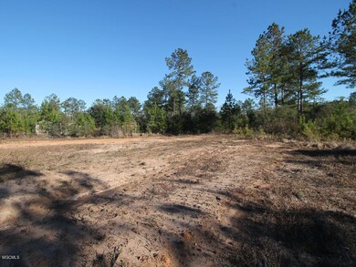 117 Hafner Ln, Lucedale, MS 39452 - photo 5