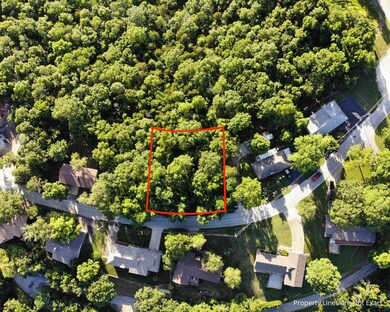 22 Skyline Dr, Kimberling City, MO 65686 - photo 3