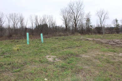 100PW Lot (3)
