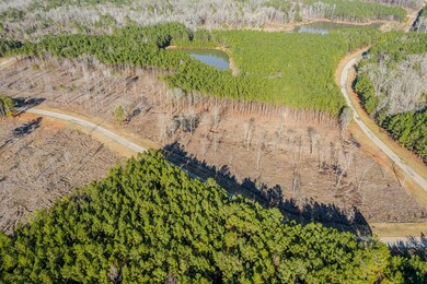 2041 Nathania Farm Rd, Lincolnton, GA 30817 - photo 3