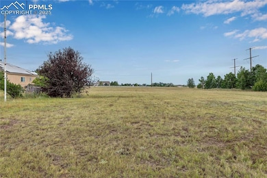 View of yard with a view of rural / pastoral area