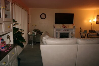4728 Orange Grove Blvd unit 10, North Fort Myers, FL 33903 - photo 7