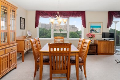 Imperial Towers unit 903, Chestnut Hill, MA 02467 - photo 4