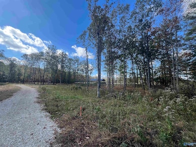 2050 Heritage Ln SW, Hartselle, AL 35640 - photo 2