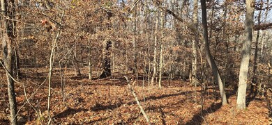 00001 Georgia 369, Ball Ground, GA 30107 - photo 4