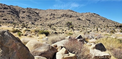 7900 Wesley Rd, Joshua Tree, CA 92252 - photo 6