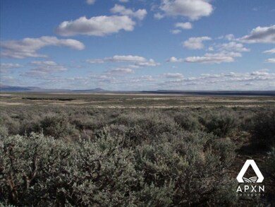 Fort Rock Rd, Silver Lake, OR 97638 - photo 3