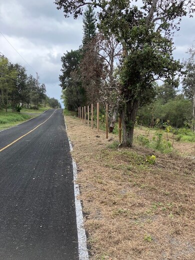 Looking to south along frontage from entry drive.
