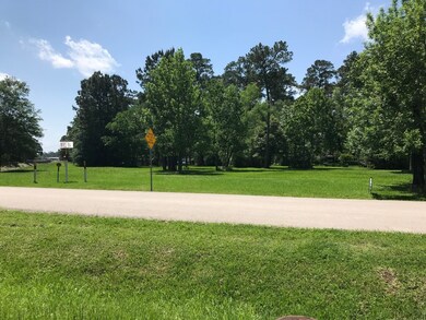 45, 46-A Basswood Dr, Spring, TX 77386 - photo 6