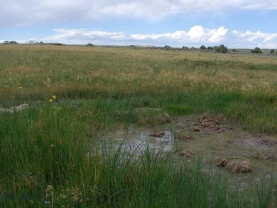 NHN Stagecoach Spur W unit 935-6, Belfry, MT 59008 - photo 6