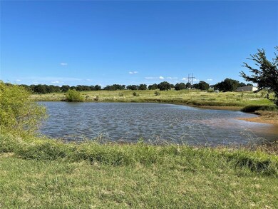 1032 Henry Way, Springtown, TX 76082 - photo 3