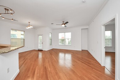 Piedmont at River Oaks unit 25, Houston, TX 77019 - photo 7