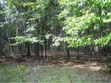 0 276th Terrace, Branford, FL 32008 - photo 2