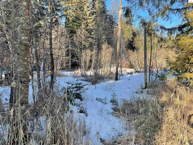 NKA Rapid Lightning Rd, Sandpoint, ID 83864 - photo 5