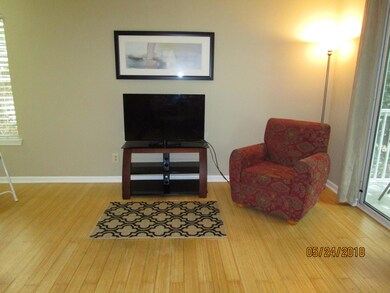 Real Bamboo flooring