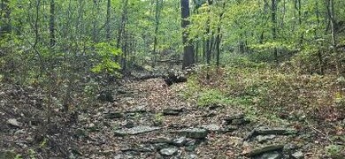 TBD Saint Simons Ln, Eureka Springs, AR 72632 - photo 2