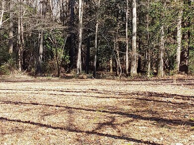 4281 Niagara Carthage Rd, Carthage, NC 28327 - photo 5