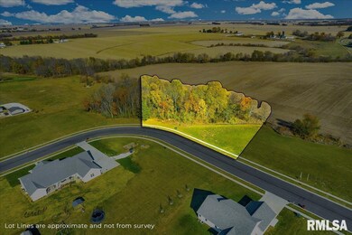 00 N Hickory Run, Elmwood, IL 61529 - photo 2