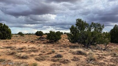 IMG_9893 (1)