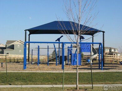 3926 Oak Shadow Way, Fort Collins, CO 80528 - photo 4