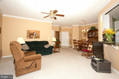 509 Cider Press Ct unit H, Joppa, MD 21085 - photo 4