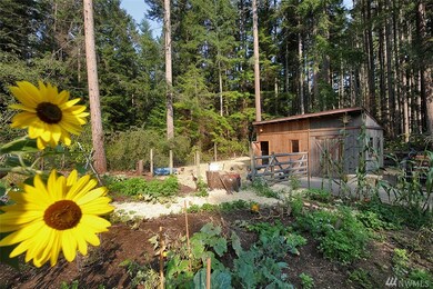 4685 Pinewood Cir, Langley, WA 98260 - photo 5