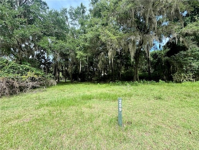 LOT 259