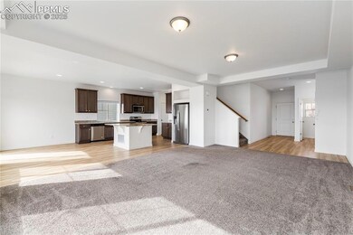 9541 Sideoats Ct, Colorado Springs, CO 80927 - photo 5