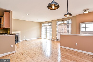 46350 Pryor Square, Sterling, VA 20165 - photo 7