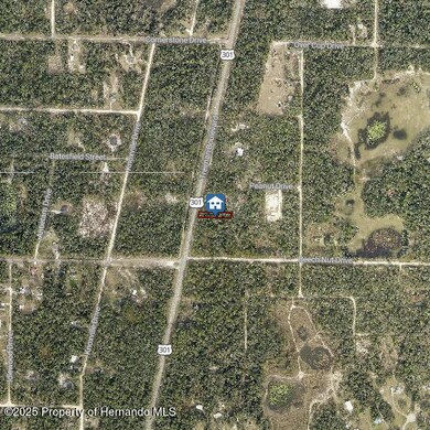 LOT 28 Treiman Blvd, Webster, FL 33597 - photo 3