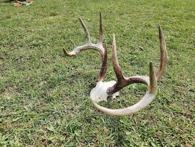 18 Ac Healy Rd, Springvale, WI 53923 - photo 4