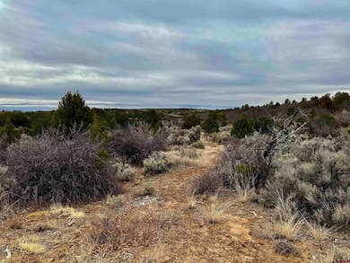 000 T5 Rd, Dolores, CO 81323 - photo 2