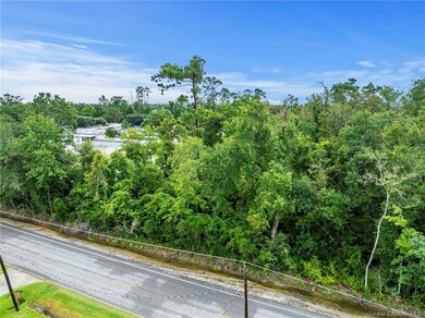 0 Parish Rd unit SWL24004393, Moss Bluff, LA 70611 - photo 3