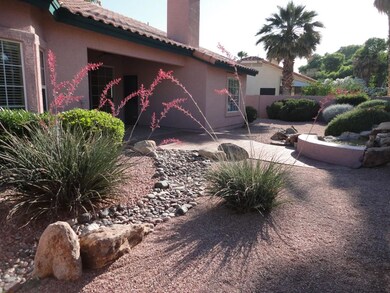 BACKYARD #4