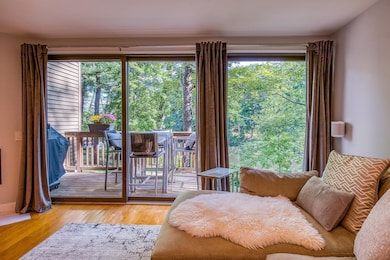 1G Bass St, Newmarket, NH 03857 - photo 5