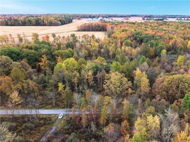 40 Bradley Brownlee Rd, Cortland, OH 44410 - photo 3