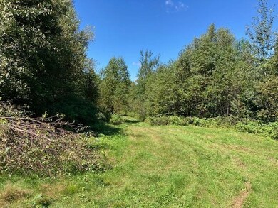 - Hollow Rd, Stewartstown, NH 03576 - photo 3