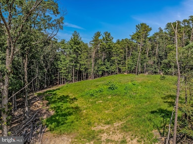 7 Miller Ln, Berkeley Springs, WV 25411 - photo 7