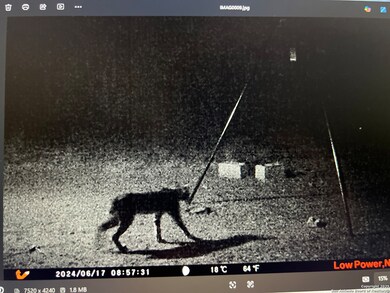 3287 Cr 349, Charlotte, TX 78011 - photo 3