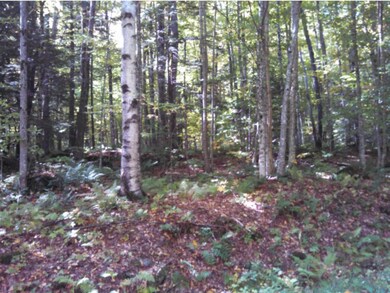 87 Ross Rd, Readsboro, VT 05350 - photo 5