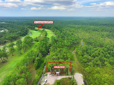 300 Golf View Dr, Port St. Joe, FL 32456 - photo 2