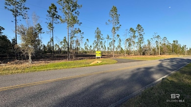 0 Archie Rd, Elberta, AL 36530 - photo 3