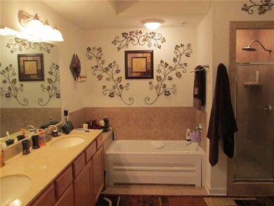 HUGE Master Bath With Double Vanity, Large Soaking